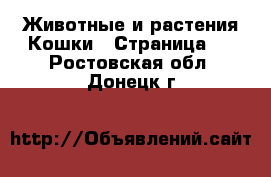 Животные и растения Кошки - Страница 2 . Ростовская обл.,Донецк г.